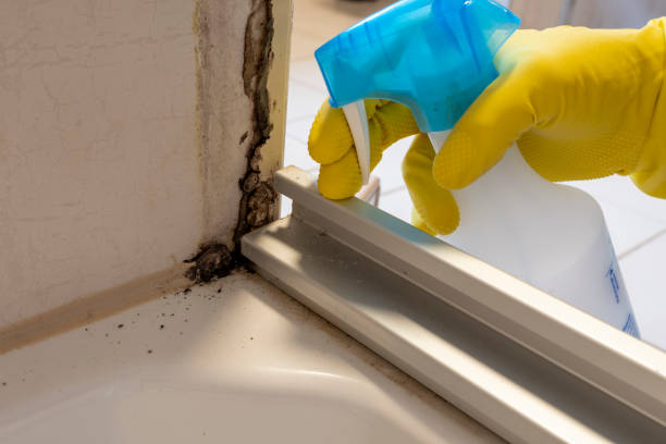 Environmental Consulting for Mold Prevention in Como, WI